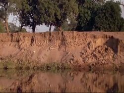 WA nest-holes of Southern Carmine Bee-eaters in red sandstone, water in foreground, Mana Pools, Zimbabwe Stock Footage