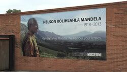 CLEAN : S Africa opposition vows to tackle racism within its ranks News Clip