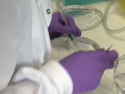 Cancer Research Laboratory Stockshots News Clip