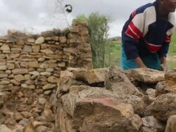 Afar men build stone enclosure Stock Footage