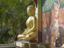 Golden Buddha figure at Wat Klong Prao buddhist temple Stock Footage