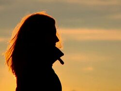 SLO MO In The Sunset Stock Footage