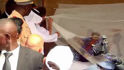 VOICED : La Pulga ataca a los mosquitos News Clip