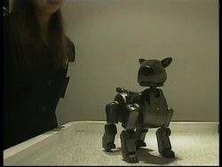 JAPAN: NEW ROBOT PET AIBO News Clip