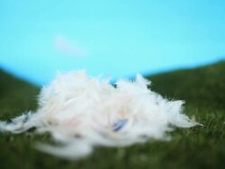 Easter Egg Nest Surprise Stock Footage