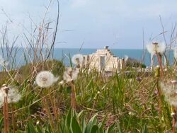 ruins of an ancient temple with columns on the beach Stock Footage