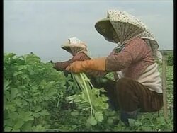 Taiwanese companies prepare for entry into WTO Instructional Video