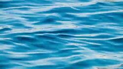 Water surface Stock Footage