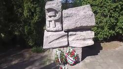 hammer and sickle Stock Footage