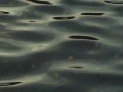 Web on wave Stock Footage