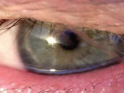 Extreme Close Up Stock Footage