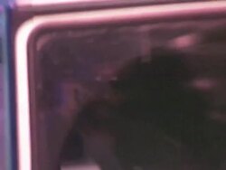 DJ Khaled and DJ Reza at BOA in West Hollywood on 4/19/2011 (Footage by WireImage Video/GettyImages) Stock Footage