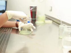 Scientist and bio lab experiment Stock Footage