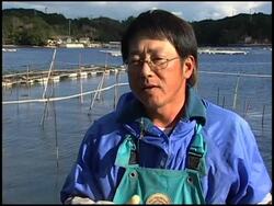 Japanese pearl harvesting underway News Clip