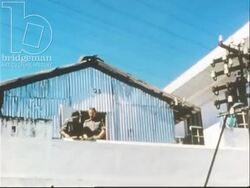 Scenes of Malaya and Australian troops at work in the rubber jungles, 1958 Stock Footage