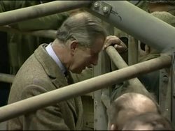 Prince Charles visits a sheep market News Clip