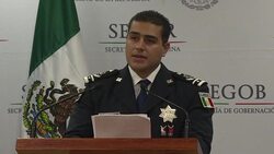 VOICED : Detienen a esposa de capo mexicano Beltran Leyva News Clip