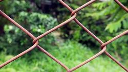 Rust Wire Fence with Green Forest Stock Footage