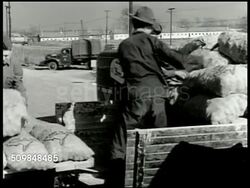 Produce canned goods meat Instructional Video