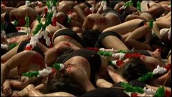 Activists demonstrate against bullfighting Instructional Video