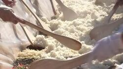 CLEAN : Some 10000 people have bibimbap to News Clip