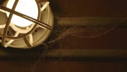 Country Bar Stock Footage