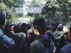 Hatsumode at Meiji Shrine Stock Footage