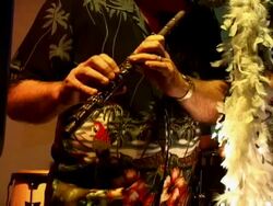 Live Band Flute Stock Footage