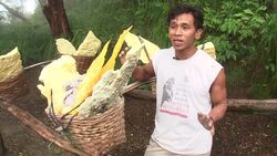 VOICED: Mining the hard way in an Indonesian volcano News Clip