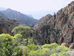 MS View of Fantastic rock landscape of Calanche of Piana, UNESCO World Heritage Site / Porto, Corsica, France Stock Footage