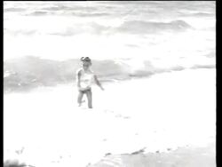 Swimming, Stunt, Plane, Comics News Clip