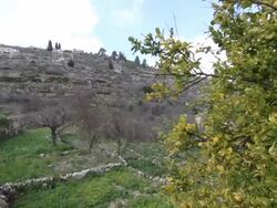 Terraced land of Battir, near Bethlehem, Israel News Clip