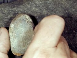 Trilobite fossil from Bolivia, in a nodule which has been split open Stock Footage