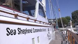 CLEAN : Actor Sheen lends name to conservation group boat News Clip