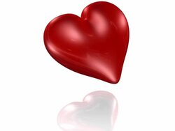 Broken Hearth Stock Footage