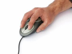 PAL: Operating Mouse Stock Footage