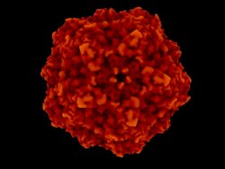 3D Protein Molecule Stock Footage