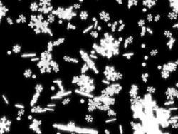 Snow #11 NTSC Stock Footage