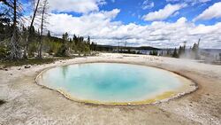 Yellowstone National Park Geyser Stock Footage