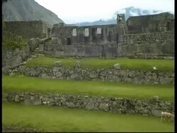 Machu Picchu, temple of 3 windows, MS, Peru Stock Footage