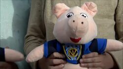 CLEAN : Football: Atletico Nacional win Copa Libertadores News Clip