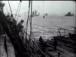 China - Shanghai imports wheat. News Clip