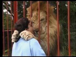 A Colombian teacher is dedicated to rescuing abused and abandoned animals. News Clip