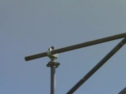 Pan to japanese worker hammering on roof Stock Footage
