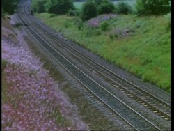 WA railway track, pink rosebay willow herb, England, UK Stock Footage