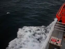 Ship side on sea. Stock Footage