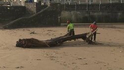 Storm Eleanor brings severe weather to the UK News Clip