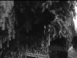 NORWAY'S GIFT News Clip