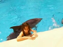 Girl and dolphin Stock Footage