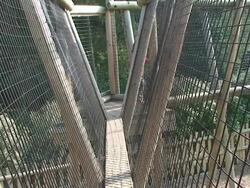 Unusual path on the playground Stock Footage